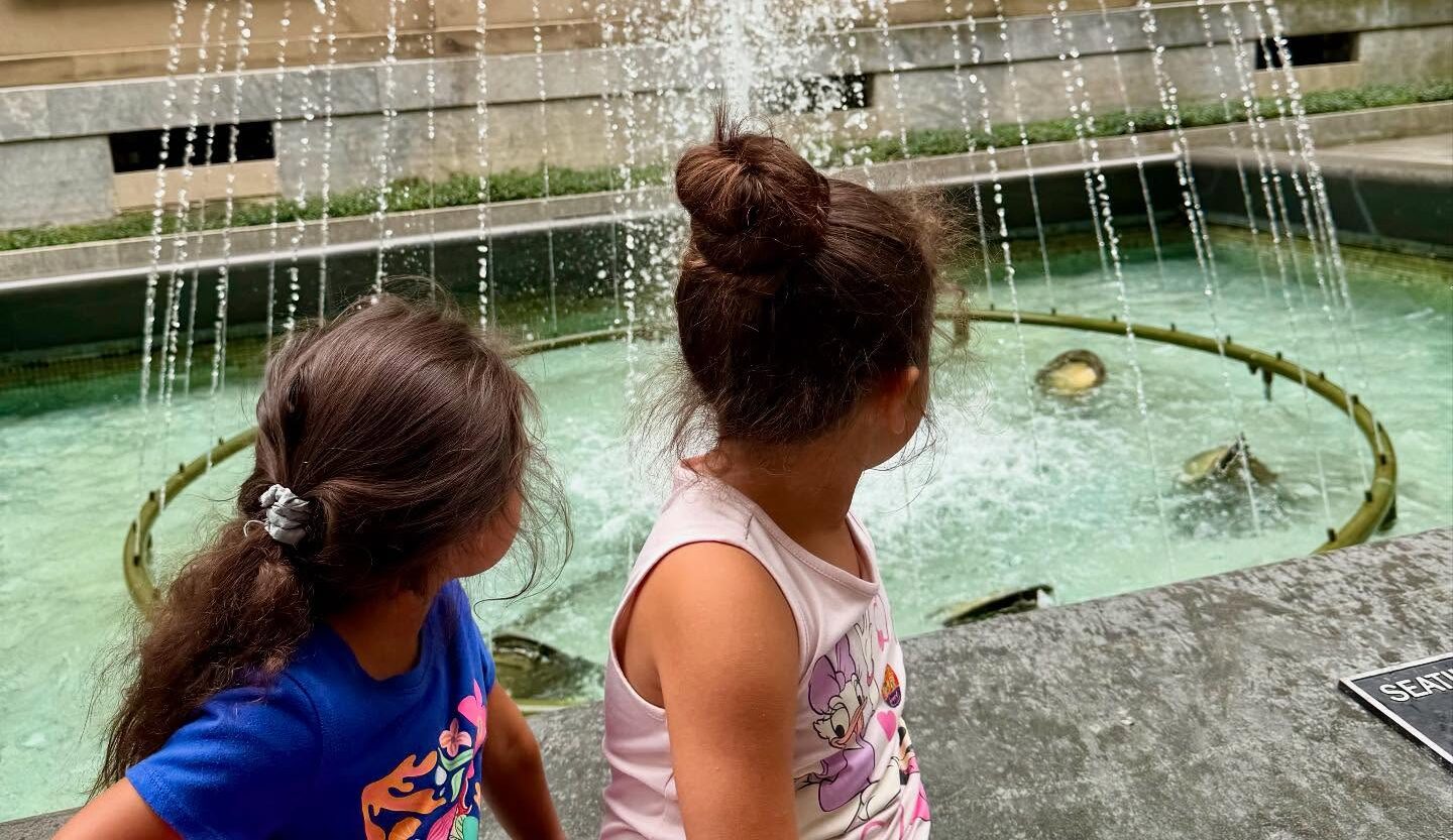 528289998_17889502542302332_8132614249177881787_n